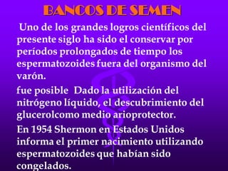 LA FECUNDACIÓN IN VITRO