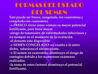 LA FECUNDACIÓN IN VITRO