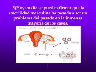 LA FECUNDACIÓN IN VITRO