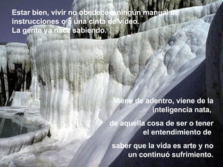 Estar bien, vivir no obedece a ningún manual de instrucciones o a una cinta de vídeo.  La gente ya nace sabiendo.  Viene de adentro, viene de la inteligencia nata,  de aquella cosa de ser o tener el entendimiento de  saber que la vida es arte y no un continuó sufrimiento . 