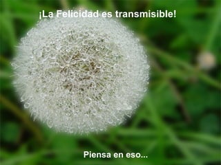 ¡La Felicidad es transmisible!   Piensa en eso... 