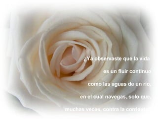 ¿Ya observaste que la vida  es un fluir continuo como las aguas de un río, en el cual navegas, solo que, muchas veces, contra la corriente? 