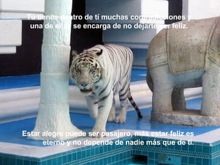 Estar alegre puede ser pasajero, más estar feliz es eterno y no depende de nadie más que de ti . Tú tienes dentro de tí muchas contradicciones y  una de ellas se encarga de no dejarte ser feliz.  