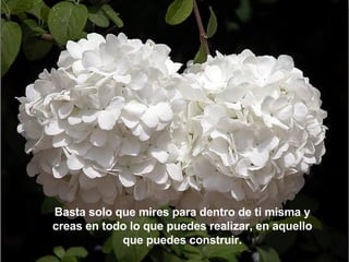 Basta solo que mires para dentro de ti misma y creas en todo lo que puedes realizar, en aquello que puedes construir. 