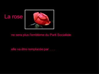 ne sera plus l'emblème du Parti Socialiste La rose elle va être remplacée par  . . . 