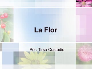 La Flor Por: Tirsa Custodio   