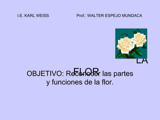 LA FLOR OBJETIVO: Reconocer las partes y funciones de la flor. I.E. KARL WEISS Prof.: WALTER ESPEJO MUNDACA 