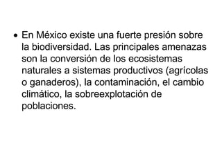 En México existe una fuerte presión sobre la biodiversidad. Las principales amenazas son la conversión de los ecosistemas naturales a sistemas productivos (agrícolas o ganaderos), la contaminación, el cambio climático, la sobreexplotación de poblaciones. 