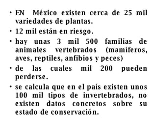 EN  México existen cerca de 25 mil variedades de plantas. 12 mil están en riesgo. hay unas 3 mil 500 familias de animales vertebrados (mamíferos, aves, reptiles, anfibios y peces) de las cuales mil 200 pueden perderse. se calcula que en el país existen unos 100 mil tipos de invertebrados, no existen datos concretos sobre su estado de conservación. 
