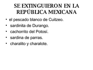 SE EXTINGUIERON EN LA REPÚBLICA MEXICANA el pescado blanco de Cuitzeo. sardinita de Durango. cachorrito del Potosí. sardina de parras. charalito y charalote. 