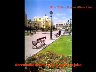 derramaba lisura y a su paso dejaba   Plaza Italia- Barrios Altos- Lima 