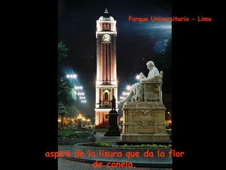 aspira de la lisura que da la flor  de canela,   Parque Universitario - Lima 