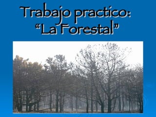 Trabajo practico:  “La Forestal” 