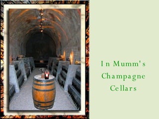 In Mumm's Champagne Cellars 