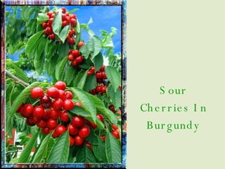 Sour Cherries In Burgundy 