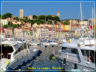 Yachts In Cannes, Provence 