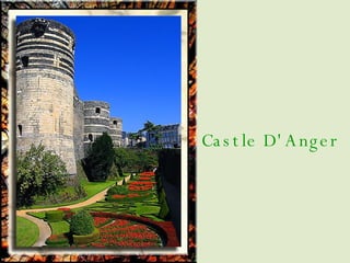 Castle D'Anger 