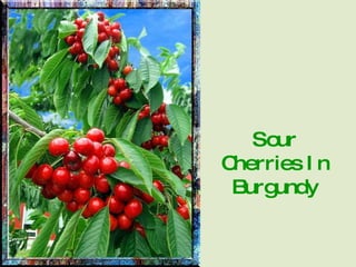 Sour Cherries In Burgundy 