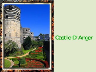 Castle D'Anger 