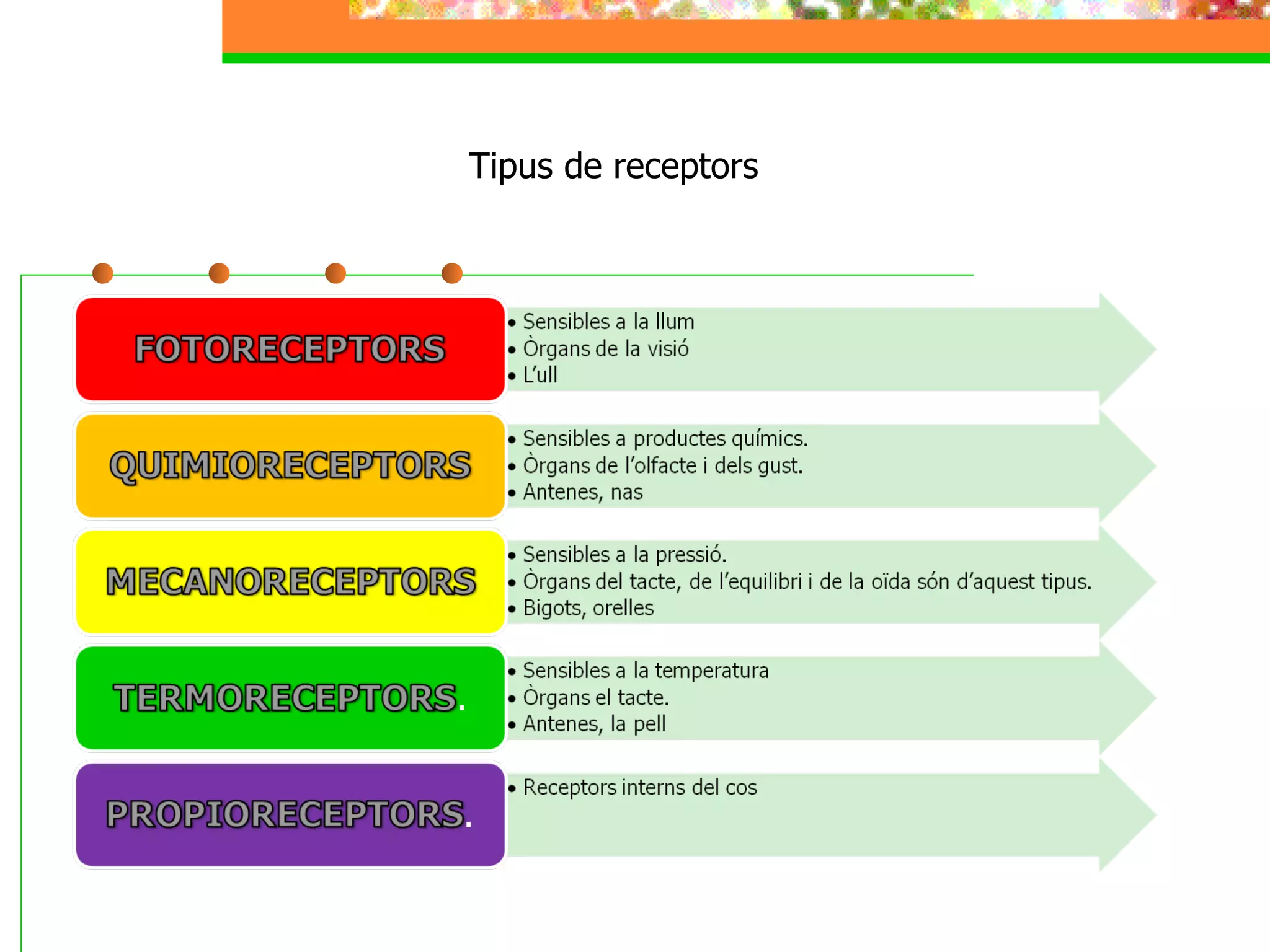 Tipus de receptors 