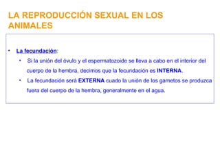 LA REPRODUCCIÓN SEXUAL EN LOS ANIMALES La fecundación : Si la unión del óvulo y el espermatozoide se lleva a cabo en el interior del cuerpo de la hembra, decimos que la fecundación es  INTERNA . La fecundación será  EXTERNA  cuado la unión de los gametos se produzca fuera del cuerpo de la hembra, generalmente en el agua. 