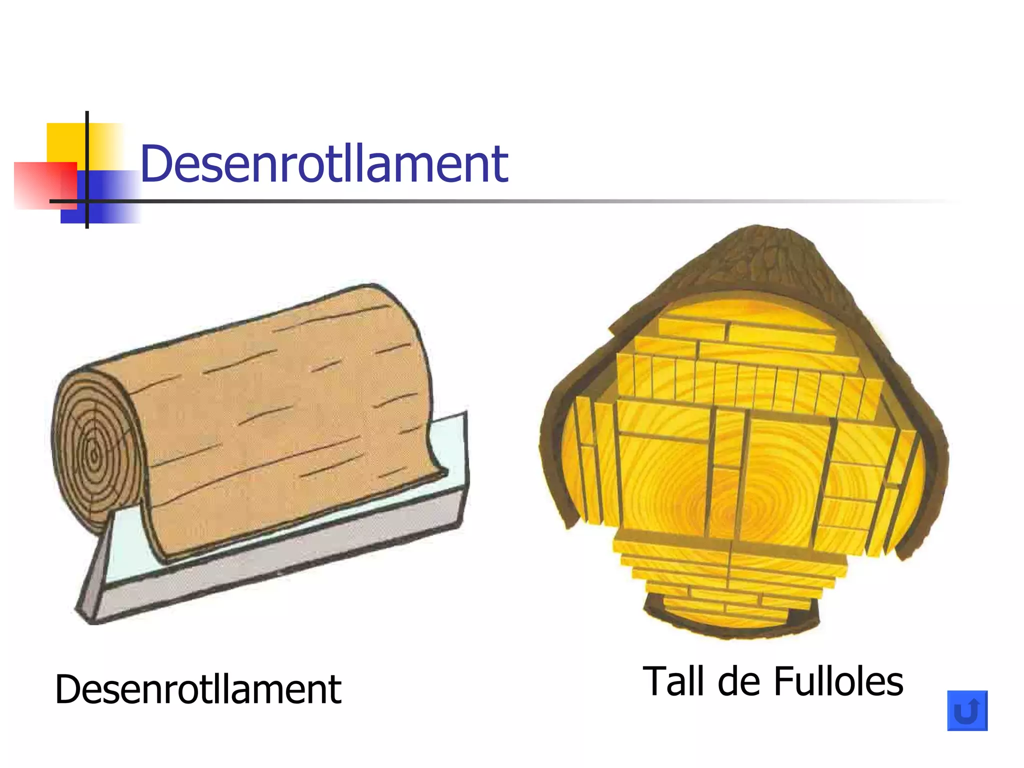 Desenrotllament Desenrotllament Tall de Fulloles 