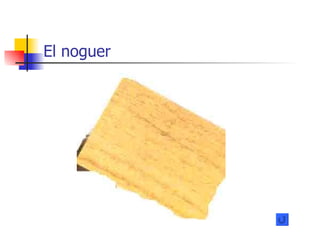 El noguer 