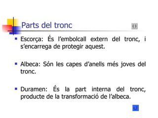 Parts del tronc Escorça: És l’embolcall extern del tronc, i s’encarrega de protegir aquest. Albeca: Són les capes d’anells més joves del tronc. Duramen: És la part interna del tronc, producte de la transformació de l’albeca. 