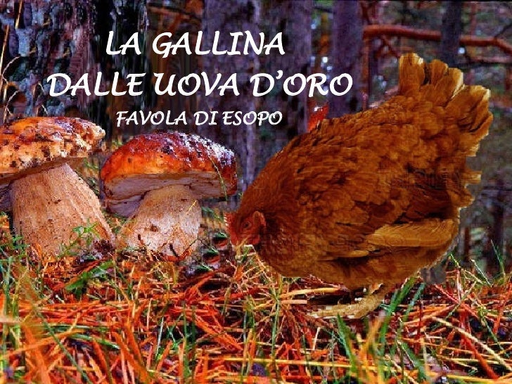 Aver Trovato La Gallina Dalle Uova D'oro