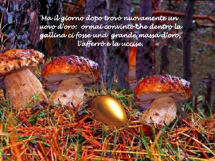 Aver Trovato La Gallina Dalle Uova D'oro