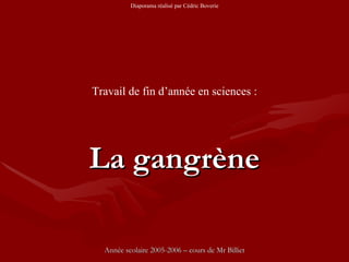 La gangrène Année scolaire 2005-2006 – cours de Mr Billiet Travail de fin d’année en sciences : Diaporama réalisé par Cédric Boverie 