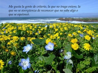 Me gusta la gente que sabe la importancia
de la alegría. Me gusta la gente sincera y
franca, capaz de oponerse con argumentos
serenos y razonables a las decisiones de un
jefe.
Me gusta la gente de criterio, la que no traga entero, la
que no se avergüenza de reconocer que no sabe algo o
que se equivocó.
 