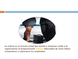 La cultura es el vínculo social que ayuda a mantener unida a la organización al proporcionarle  normas  adecuadas de cómo deben comportarse y expresarse los empleados.  