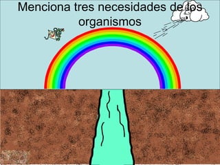 Menciona tres necesidades de los organismos 