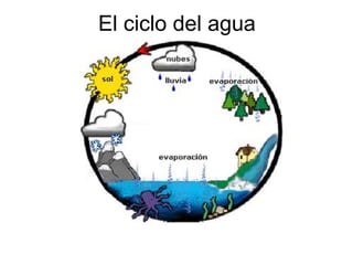 El ciclo del agua 