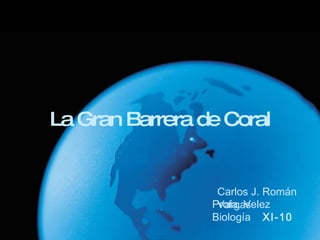 La Gran Barrera de Coral Carlos J. Román Vargas Profa. Velez Biología  XI-10   
