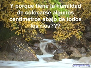 Y porque tiene la humildad de colocarse algunos centímetros abajo de todos los rios??? 