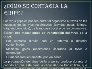 Los virus gripales pueden entrar al organismo a través de las
mucosas de las vías respiratorias (cavidad nasal, laringe,
tráquea, bronquios), de la mucosa bucal o de las conjuntivas.
Existen tres mecanismos de transmisión del virus de la
gripe:
• Por contacto directo con un enfermo o material
   contaminado.
• Mediante gotas respiratorias liberadas al toser o
   estornudar.
• O, menos frecuentemente, por vía aérea.
La propagación del virus de la gripe se produce durante el
periodo en que este tiene la capacidad de transmitirse, que
 
