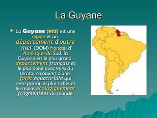 La Guyane ,[object Object]