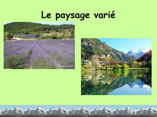 Le paysage varié 