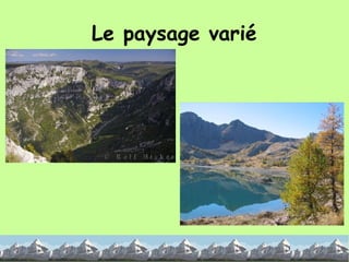 Le paysage varié 