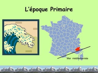 L’époque Primaire Mer  méditerrannée 