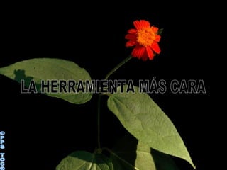©PPS TOC® LA HERRAMIENTA MÁS CARA 