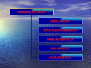 PRINCIPALES  MARES MAR CARIBE MAR MEDITERRANEO MAR ADRIATICO   MAR ARÁBIGO   MAR MUERTO 