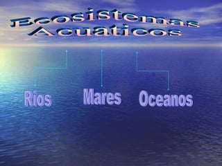 Ecosistemas  Acuaticos Rios Mares Oceanos 