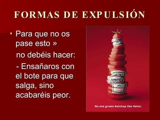 La Historia Del Ketchup