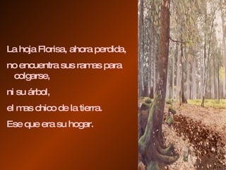La hoja Florisa, ahora perdida,  no encuentra sus ramas para  colgarse,  ni su árbol,  el mas chico de la tierra. Ese que era su hogar. 