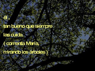él ,  tan bueno que siempre  las cuida ( comenta María,  mirando los árboles ) 