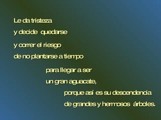 Le da tristeza  y decide  quedarse  para llegar a ser  un gran aguacate, y correr el riesgo de no plantarse a tiempo porque así es su descendencia  de grandes y hermosos  árboles. 