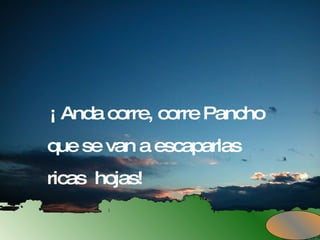¡ Anda corre, corre Pancho que se van a escaparlas  ricas  hojas! 